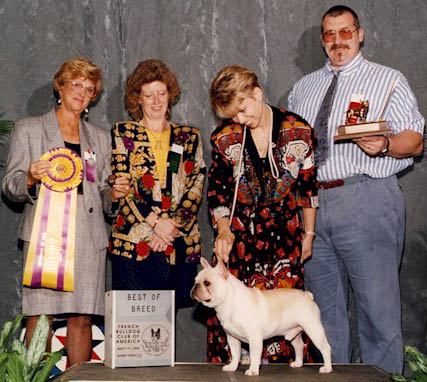 Ch Bandog's One In A Million